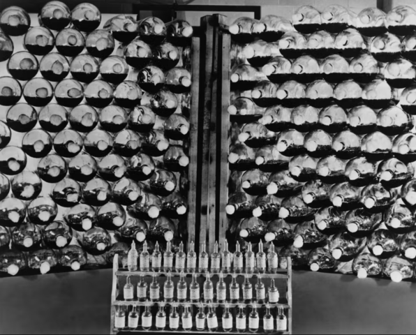 Penicilina a gran escala / Avances en la investigación del ADN bacteriano