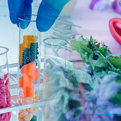 Timeline: Tecnología de los alimentos