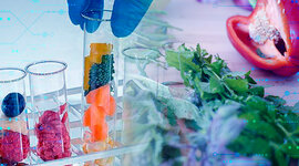 Timeline: Tecnología de los alimentos