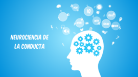 Timeline: DESDE LOS ORIGENES AL PRESENTE: LAS NEUROCIENCIAS DE LA CONDUCTA, UN VIAJE QUE NO SE DETIENE