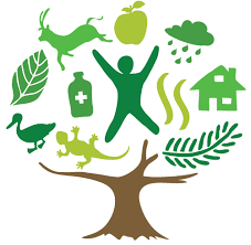 Foro de bosques de las Naciones Unidas