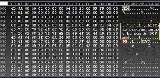Regional Assembly Language