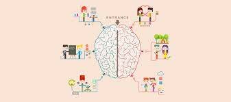 El cerebro y las neurociencias