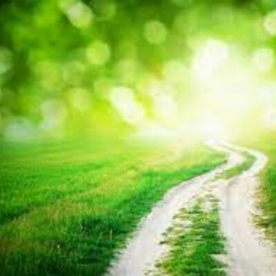 Timeline: Historia de la Educación