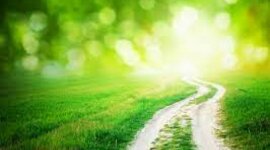 Timeline: Historia de la Educación