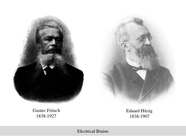 Gustav Fritsch y Edward Hitzig ( 1838- 1907)
