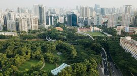 Timeline: ANTECEDENTES HISTÓRICOS DE LOS ESPACIOS VERDES