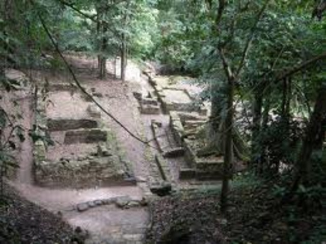 maya suddenly abandoned their many cities.