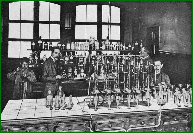 Tuberculosis, difteria, cólera y fiebre tifoidea.