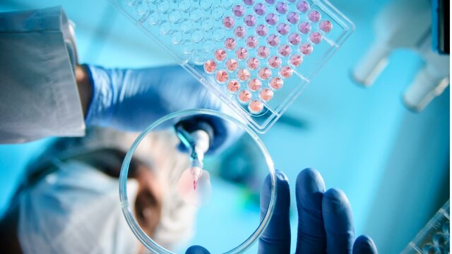 El Futuro de la Bioetica