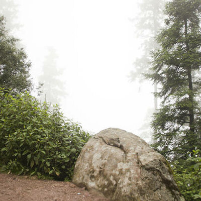 Timeline: LA VISIÓN SUSTENTABLE DEL CRECIMIENTO DE LA CIUDAD DE MÉXICO DESDE SU SUELO DE CONSERVACIÓN 2000-2020