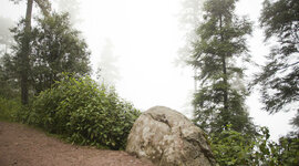 Timeline: LA VISIÓN SUSTENTABLE DEL CRECIMIENTO DE LA CIUDAD DE MÉXICO DESDE SU SUELO DE CONSERVACIÓN 2000-2020