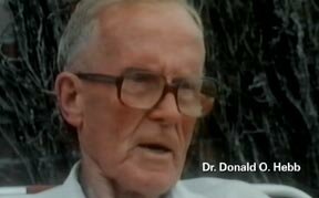 Donald Hebb, Memoria y el aprendizaje