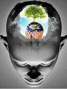 Aragonés y Amérigo