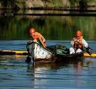 Bell, Fisher & Loomis