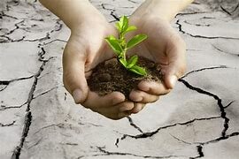 Más pensamientos ecológicos