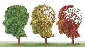 RESERVA COGNITIVA (PETERSEN)