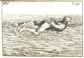 Primer libro de Natacion