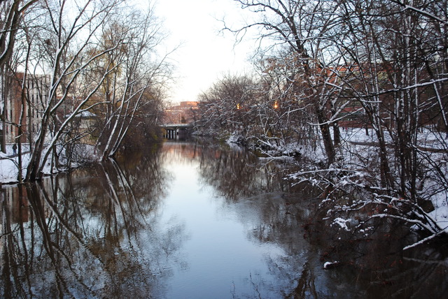 Red Cedar River Picture 10
