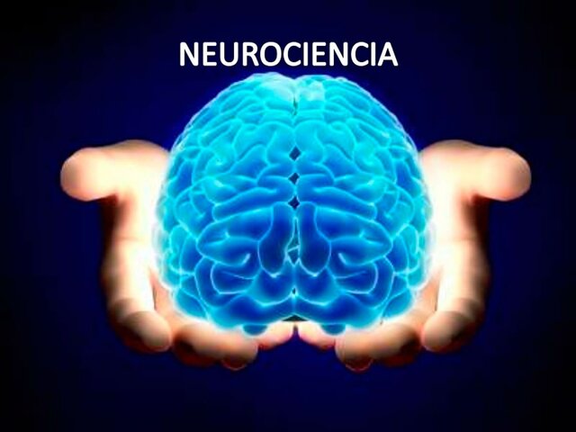 Neurociencia