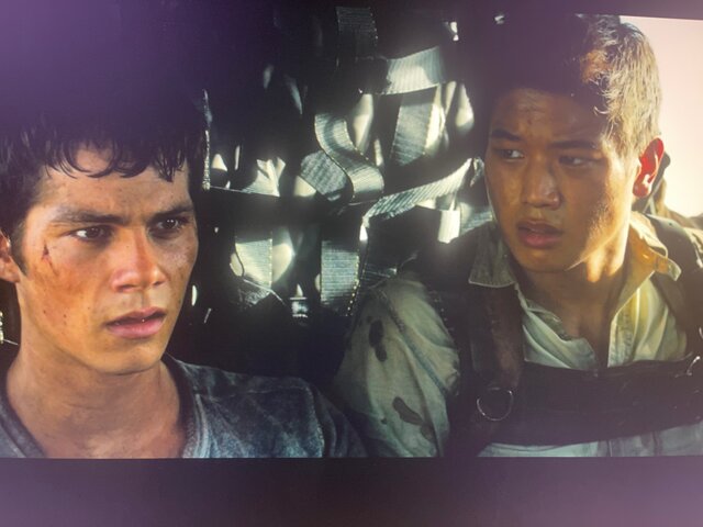 Rescue and an Uncertain Future