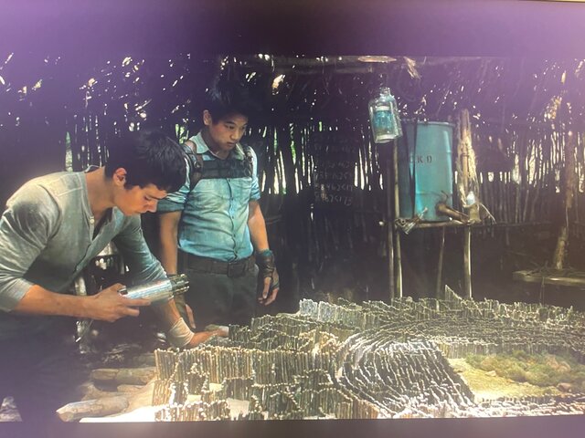 Thomas and Minho map the Maze