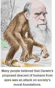 Charles Darwin, natural selection