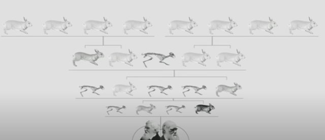 Charles Darwin and Theory of Evolution