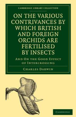 The Various Contrivances by which British and Foreign Orchids are Fertilised by Insects