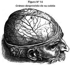 ANDRES VESALIUS