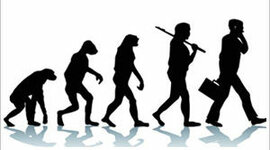 Timeline: EVOLUCIÓN DE LA ADMINISTRACIÓN