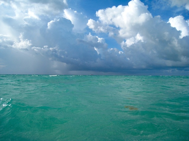 Professor  lands balloon