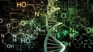 References (Continued)