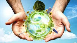 Timeline: Environmental Movement Timeline