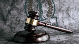 Timeline: Historia del amparo