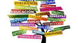 Timeline: Orientación Educativa