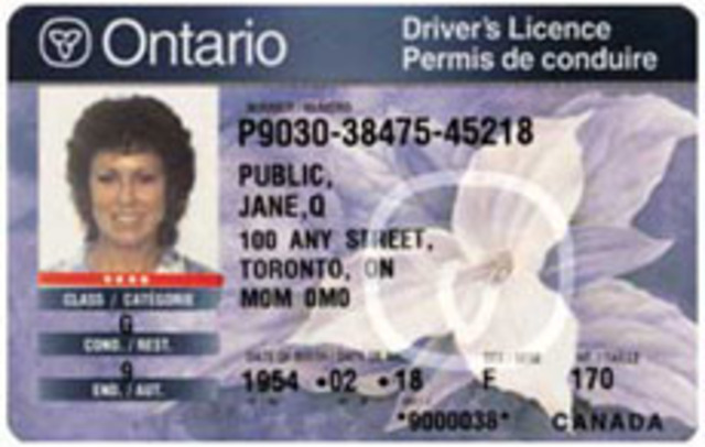 have a driver's license