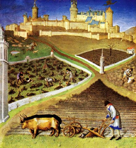 Primera política agrícola común