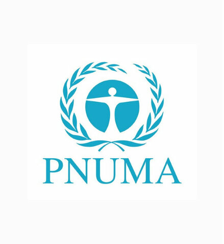 Seminario Internacional de Educación Ambiental en Belgrado 1975