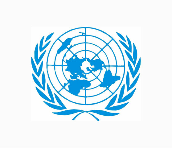 I Conferencia de Naciones Unidas sobre medio Ambiente y Desarrollo 1992