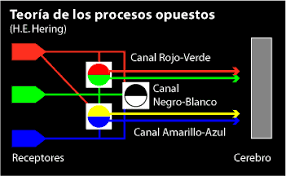 Teoría de los procesos oponentes Ewald Hering