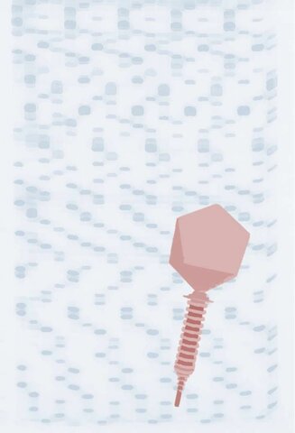 Origen de los métodos de secuenciación del ADN