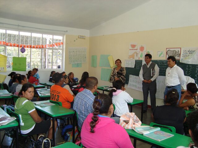 Definición de Bisquerra Alzima