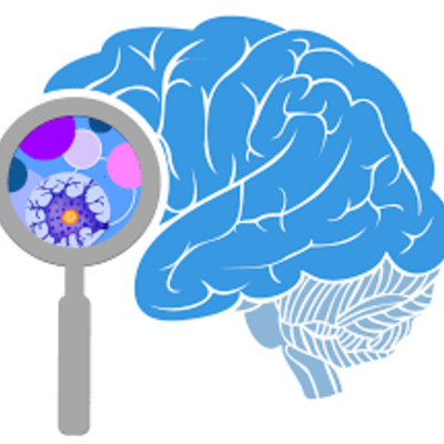 Timeline: Las neurociencias de la conducta, un viaje  que no se detiene.