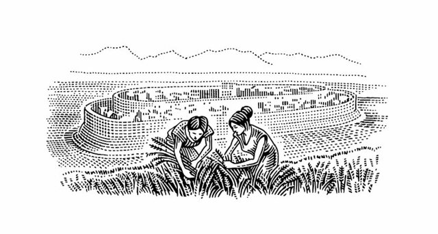 Sedentarización en oriente próximo