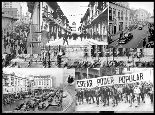 Se organizan en sociedades democráticas