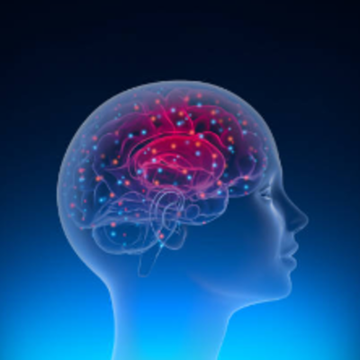 Timeline: Orígenes de la Neurociencia.