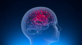 Timeline: Orígenes de la Neurociencia.