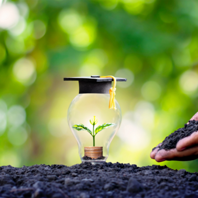 Timeline: Educación ambiental