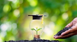 Timeline: Educación ambiental